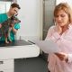 pet emergencies